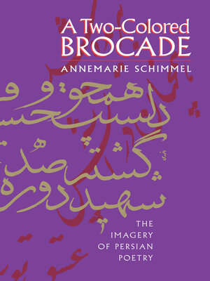 cover image of A Two-Colored Brocade